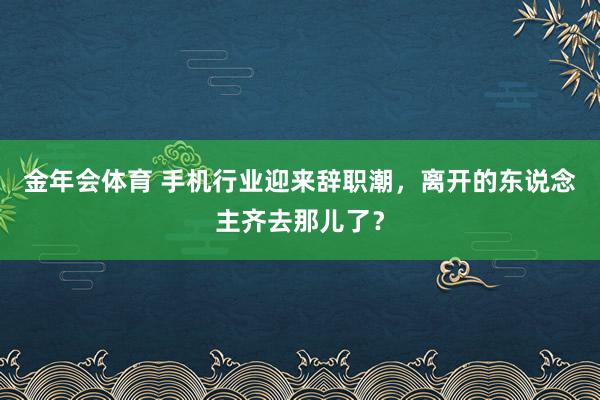 金年会体育 手机行业迎来辞职潮，离开的东说念主齐去那儿了？