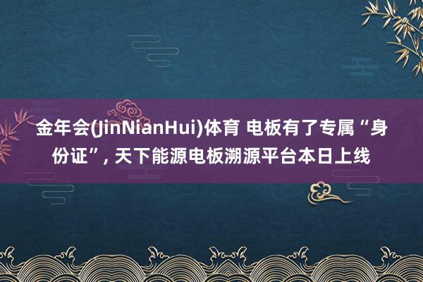 金年会(JinNianHui)体育 电板有了专属“身份证”， 天下能源电板溯源平台本日上线