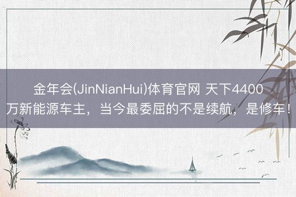 金年会(JinNianHui)体育官网 天下4400万新能源车主，当今最委屈的不是续航，是修车！