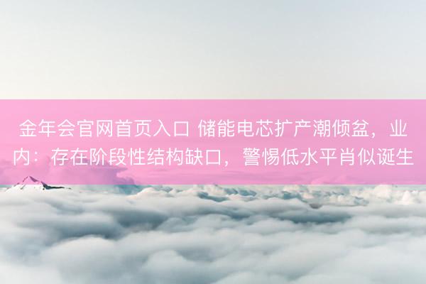 金年会官网首页入口 储能电芯扩产潮倾盆，业内：存在阶段性结构缺口，警惕低水平肖似诞生