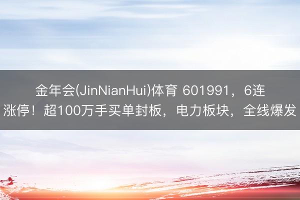 金年会(JinNianHui)体育 601991，6连涨停！超100万手买单封板，电力板块，全线爆发