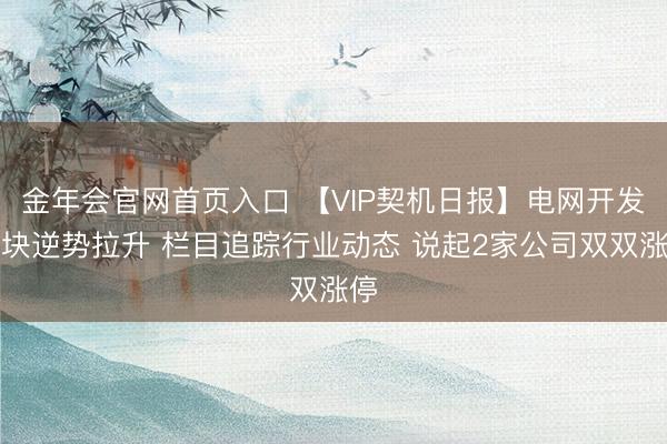 金年会官网首页入口 【VIP契机日报】电网开发板块逆势拉升 栏目追踪行业动态 说起2家公司双双涨停