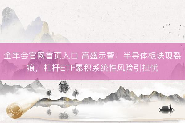 金年会官网首页入口 高盛示警：半导体板块现裂痕，杠杆ETF累积系统性风险引担忧