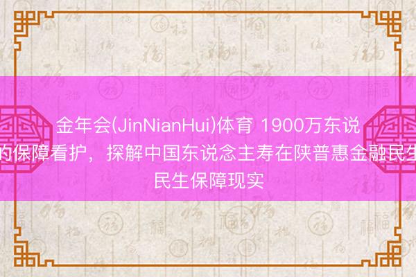 金年会(JinNianHui)体育 1900万东说念主背后的保障看护，探解中国东说念主寿在陕普惠金融民生保障现实