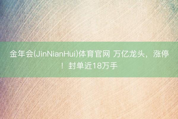金年会(JinNianHui)体育官网 万亿龙头，涨停！封单近18万手