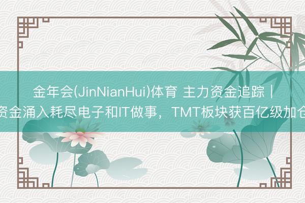 金年会(JinNianHui)体育 主力资金追踪｜资金涌入耗尽电子和IT做事，TMT板块获百亿级加仓