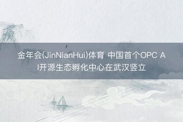 金年会(JinNianHui)体育 中国首个OPC AI开源生态孵化中心在武汉竖立