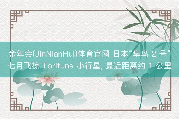 金年会(JinNianHui)体育官网 日本“隼鸟 2 号”七月飞掠 Torifune 小行星, 最近距离约 1 公里