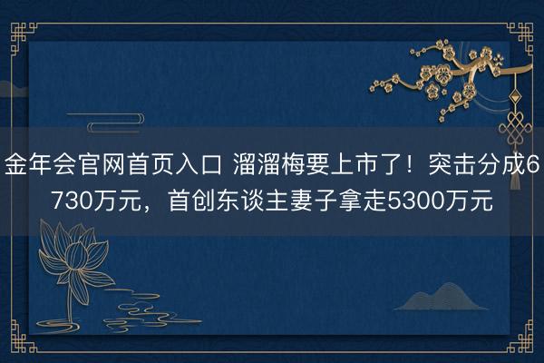 金年会官网首页入口 溜溜梅要上市了！突击分成6730万元，首创东谈主妻子拿走5300万元