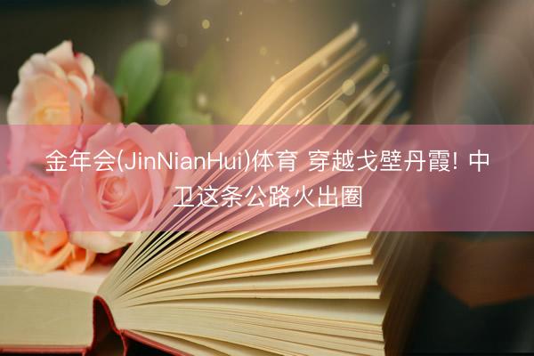 金年会(JinNianHui)体育 穿越戈壁丹霞! 中卫这条公路火出圈